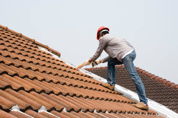 Best Solar Panel Roofing Installation  in Bridgewater, VA