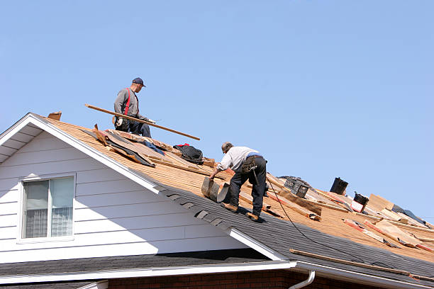 Best Asphalt Shingles Roofing  in Bridgewater, VA